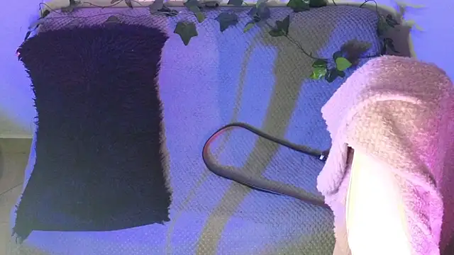 Snapshot of Alahia7demon chatting on February 2026 02:04:01 AM Alahia7demon online show from February 2026 02:04:01 AM