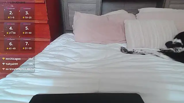 Kittyymaze1 online show from January 2025 04:57:01 PM