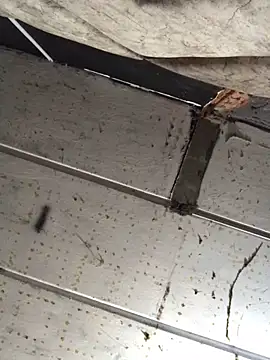 macg96 online show from December 2024 08:34:02 AM