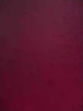 Snapshot of Norve26 chatting on February 2025 01:08:02 PM Norve26 online show from February 2025 01:08:02 PM