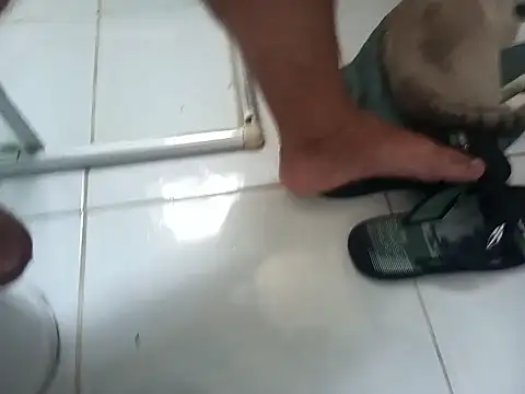 Snapshot of lobomisterioso13 chatting on February 2026 11:41:01 AM lobomisterioso13 online show from February 2026 11:41:01 AM