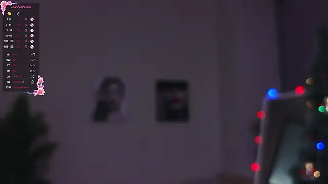 DawnGammell online show from December 2024 10:45:01 PM