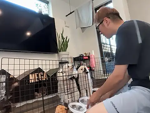 kensnb online show from September 2025 10:04:01 PM