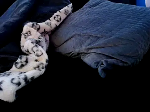 Snapshot of Niquitasparkles chatting on December 2024 09:31:02 PM Niquitasparkles online show from December 2024 09:31:02 PM