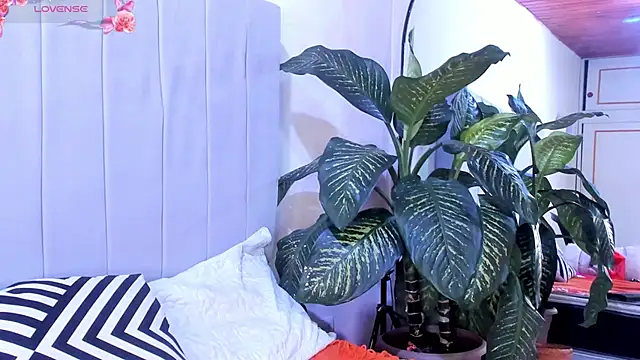 Snapshot of Mindy_sweety chatting on March 2025 07:54:01 PM Mindy sweety online show from March 2025 07:54:01 PM