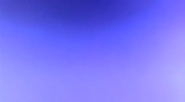 your pokkie online show from December 2024 01:49:01 PM