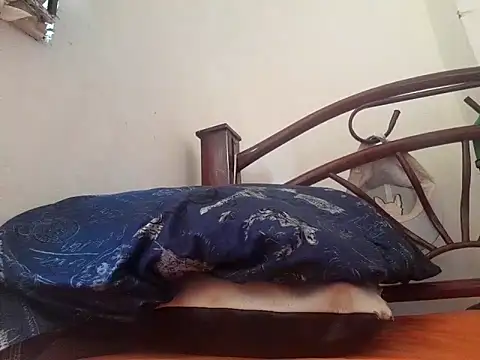  afrodita sex online show from February 2025 07:49:01 PM