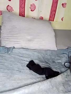 Anal Fisting9 online show from December 2024 11:36:01 PM