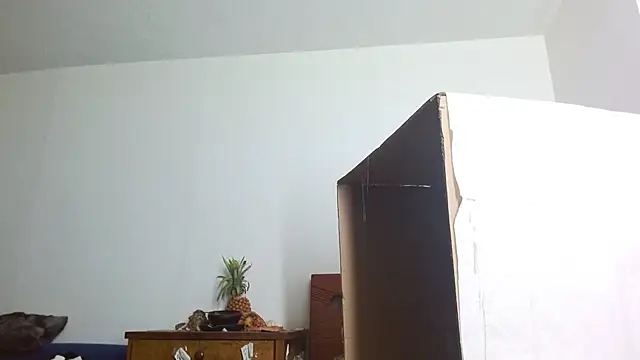 Party trans online show from December 2024 10:39:02 PM