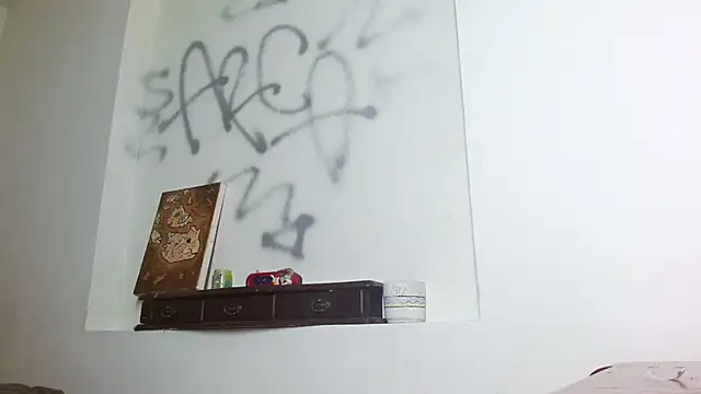 Party trans online show from December 2024 08:05:02 PM