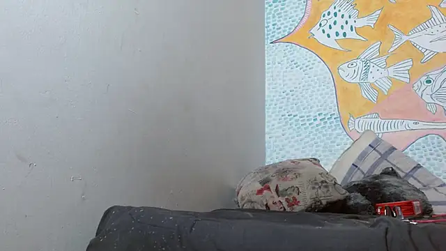 Party trans online show from February 2025 03:22:01 AM