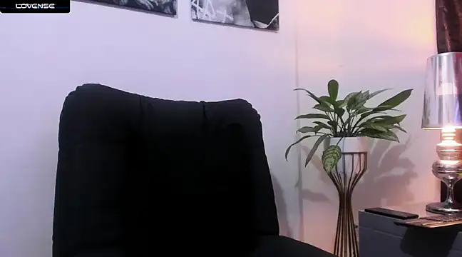 Snapshot of CruzVega chatting on February 2025 10:03:02 PM CruzVega online show from February 2025 10:03:02 PM