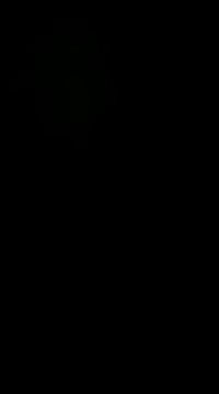 pelarrico12 online show from January 2025 05:01:01 AM