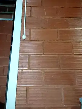 Priyalakshmi  online show from February 2025 01:28:01 PM