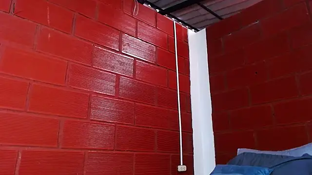 Priyalakshmi  online show from March 2025 01:09:02 PM