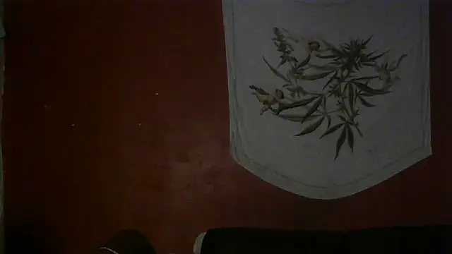 spacegirlll online show from March 2025 12:47:01 AM