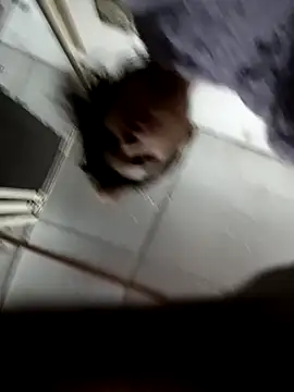 zoya khan25 online show from December 2024 02:42:02 PM