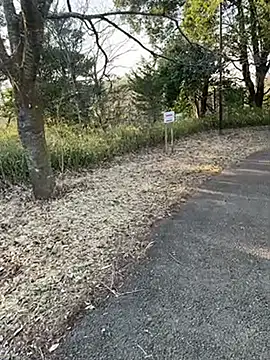 Snapshot of Hideen-real-face chatting on February 2026 06:53:01 AM Hideen-real-face online show from February 2026 06:53:01 AM