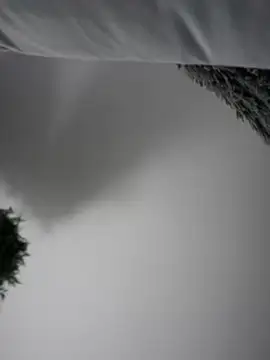 Snapshot of Aryrosee chatting on January 2025 03:49:02 AM Aryrosee online show from January 2025 03:49:02 AM