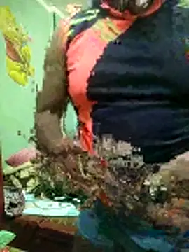 Snapshot of ShelfyOfferer chatting on January 2026 11:14:01 PM ShelfyOfferer online show from January 2026 11:14:01 PM