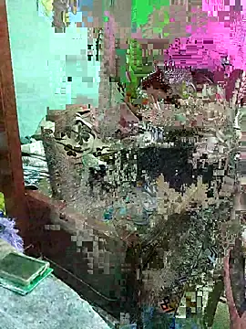 ShelfyOfferer online show from May 2026 01:36:02 AM