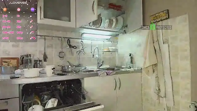 Snapshot of MilfeaN chatting on February 2025 06:33:01 AM MilfeaN online show from February 2025 06:33:01 AM