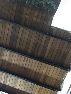 Snapshot of isacalejandroo chatting on January 2025 04:02:01 AM isacalejandroo online show from January 2025 04:02:01 AM