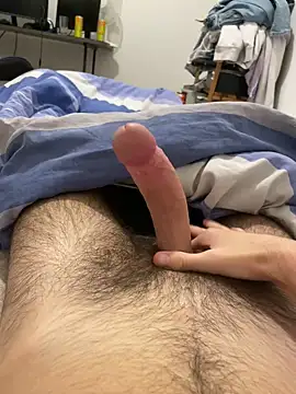 Snapshot of Lcrete chatting on November 2025 01:50:01 PM Lcrete online show from November 2025 01:50:01 PM