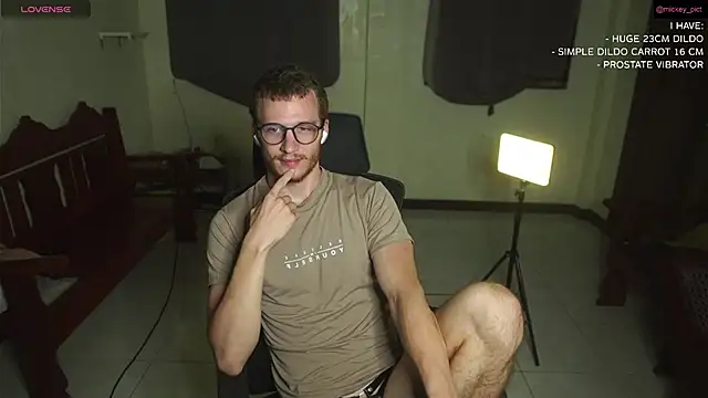 Snapshot of mickeypict chatting on December 2024 01:03:01 PM mickeypict online show from December 2024 01:03:01 PM