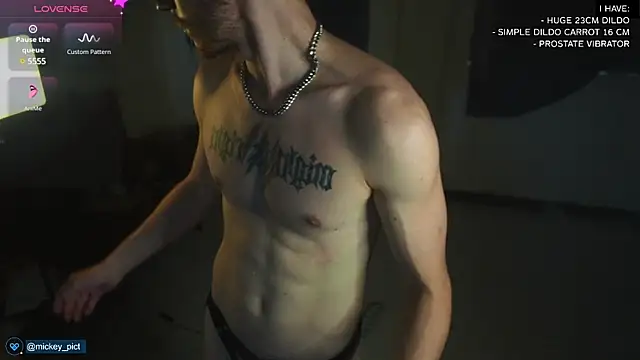 Snapshot of mickeypict chatting on December 2024 02:26:01 AM mickeypict online show from December 2024 02:26:01 AM