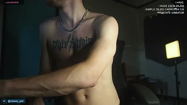 Snapshot of mickeypict chatting on December 2024 02:47:01 AM mickeypict online show from December 2024 02:47:01 AM