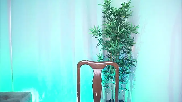 dam0n fr0st online show from December 2025 07:53:01 PM