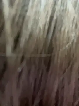 xyebobs online show from October 2025 01:28:02 PM