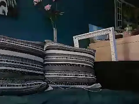 Snapshot of mecanoExhib78 chatting on February 2025 06:38:02 AM mecanoExhib78 online show from February 2025 06:38:02 AM