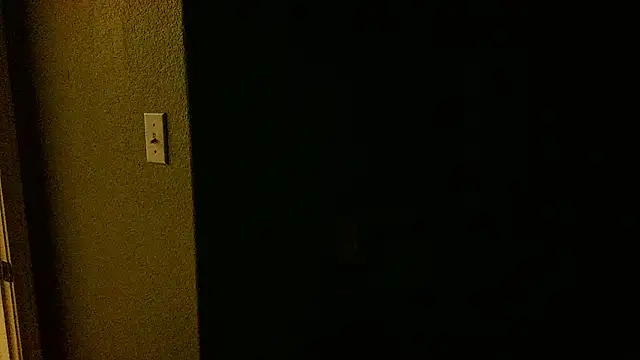 Snapshot of Bhives chatting on February 2026 05:17:01 AM Bhives online show from February 2026 05:17:01 AM