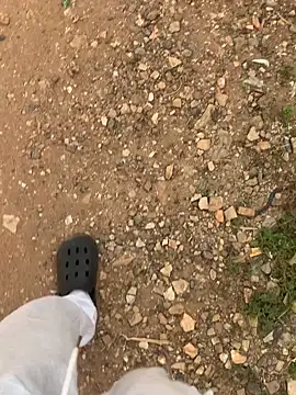 Black mamba madingo online show from December 2024 04:09:02 PM