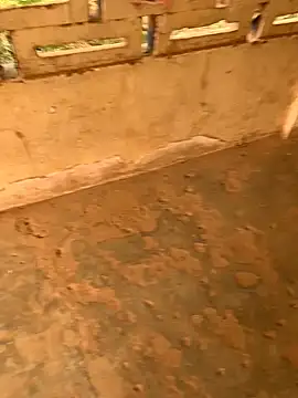 Black mamba madingo online show from December 2024 02:28:02 PM