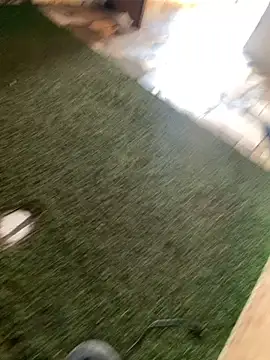 Black mamba madingo online show from January 2025 11:22:02 AM