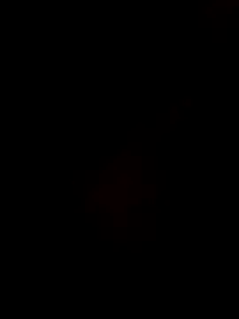 Gujrat player online show from December 2024 02:53:01 PM