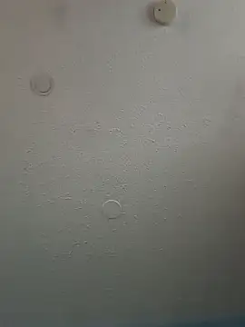 geilerschwanz64 online show from February 2025 05:46:01 PM