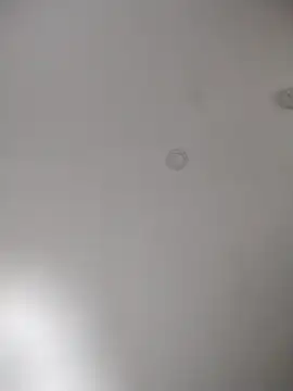 geilerschwanz64 online show from October 2025 11:38:01 PM