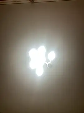 Janet Welder online show from December 2024 06:09:02 AM