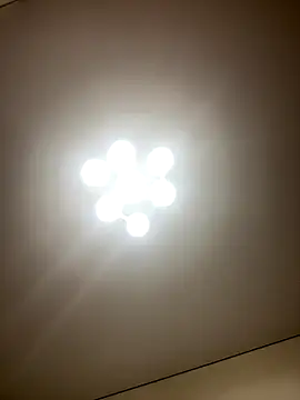 Janet Welder online show from December 2025 12:30:01 AM