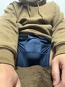 Snapshot of shin9shin9 chatting on February 2026 01:52:02 PM shin9shin9 online show from February 2026 01:52:02 PM