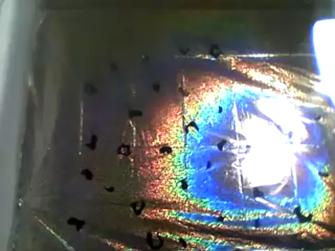 camiliaskye online show from December 2024 04:22:01 AM