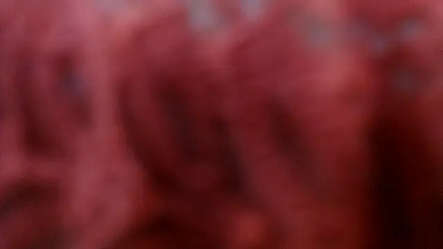 AretiAlisya online show from April 2026 05:14:01 AM