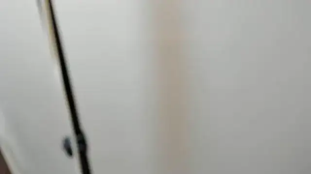 Alid 17 online show from March 2025 01:20:02 AM