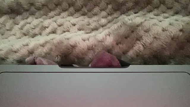 Snapshot of thick_n_hard chatting on December 2024 09:51:01 AM thick n hard online show from December 2024 09:51:01 AM