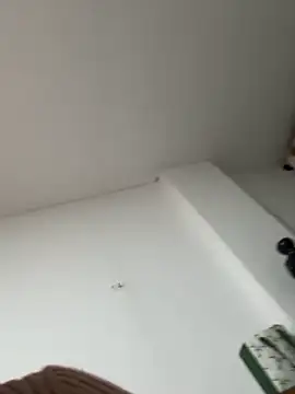 Snapshot of siri_duque chatting on January 2026 01:30:01 AM siri duque online show from January 2026 01:30:01 AM