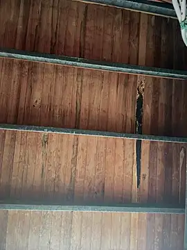 Leo bunny hot online show from January 2026 08:23:01 PM